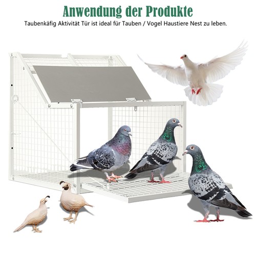 Taubenschlag tür abnehmbar - taubenschlag,